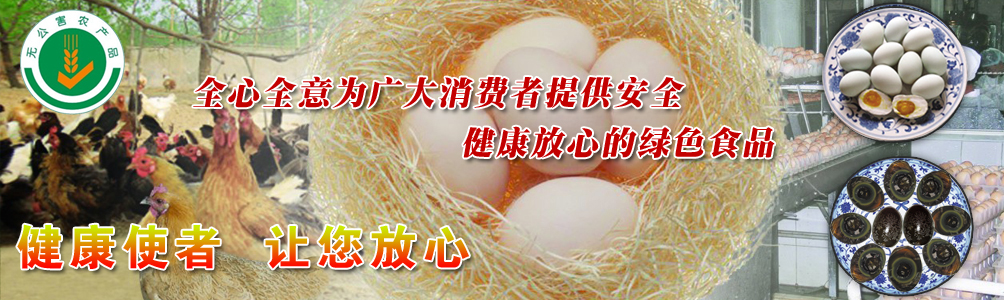 招標(biāo)采購行業(yè)典范